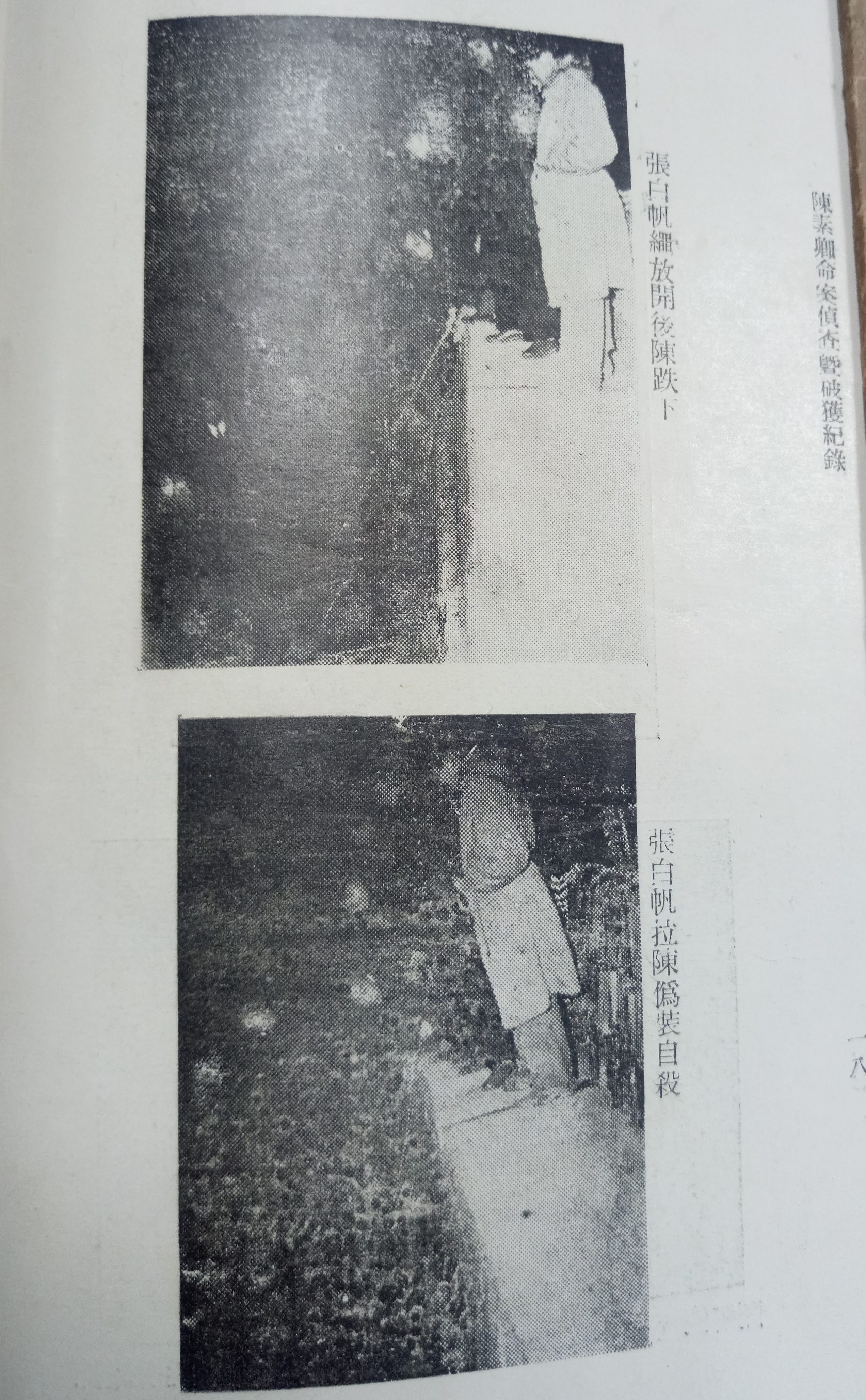 張白帆模擬現場影像